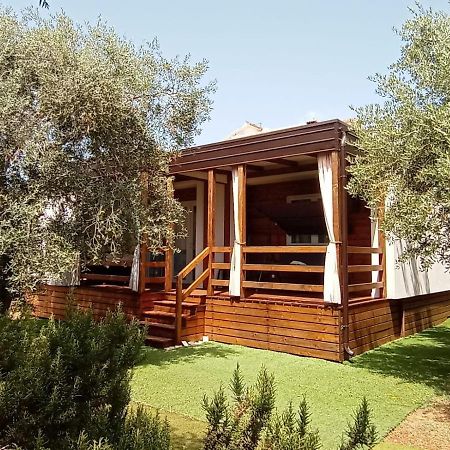 Mobile Homes Olive And Sea Bibinje Bagian luar foto